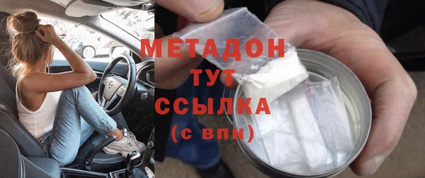 прущие грибы Елабуга