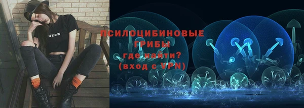 прущие грибы Елабуга