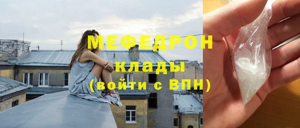 прущие грибы Елабуга