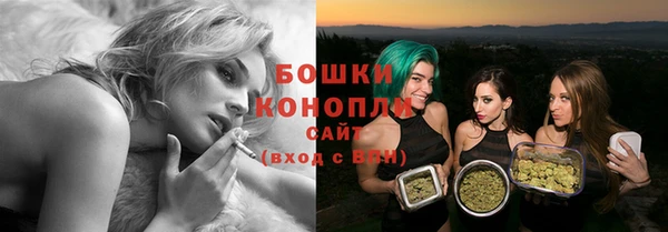 прущие грибы Елабуга