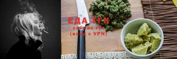 прущие грибы Елабуга