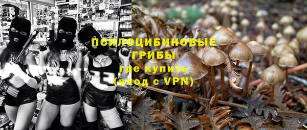 прущие грибы Елабуга