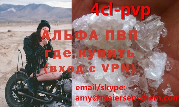 прущие грибы Елабуга