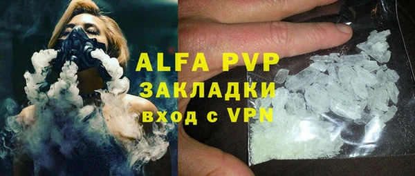 прущие грибы Елабуга
