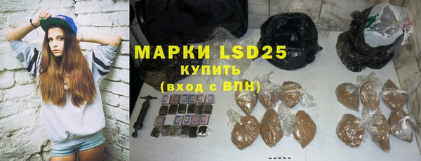 прущие грибы Елабуга