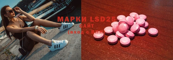 прущие грибы Елабуга