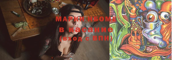 прущие грибы Елабуга