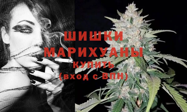 прущие грибы Елабуга