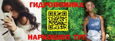 шишки Гагарин