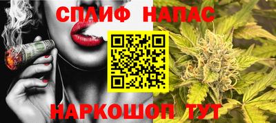 шишки Гагарин