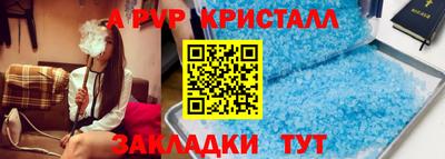 шишки Гагарин