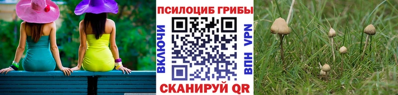 ссылка на мегу сайт  Зеленодольск  Галлюциногенные грибы ЛСД  магазин продажи наркотиков 