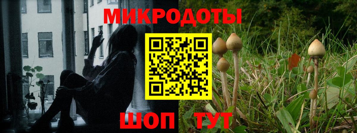 Галлюциногенные грибы Cubensis Зеленодольск
