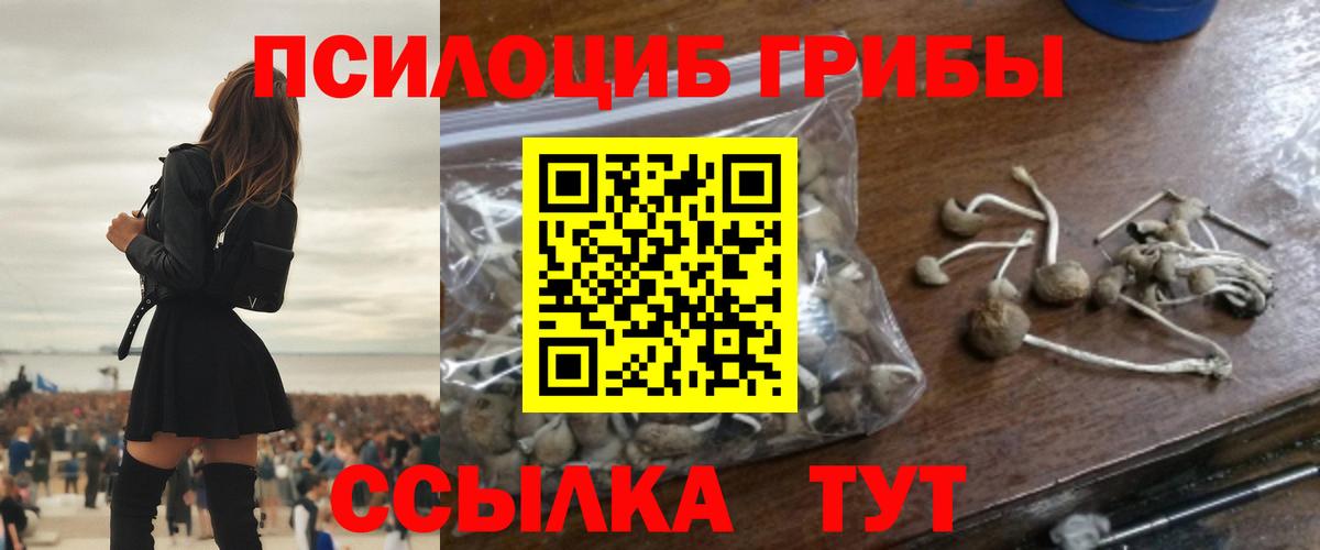 ГАШ Зеленодольск